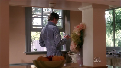 Desperate-housewives-5x01-screencaps-0192.png