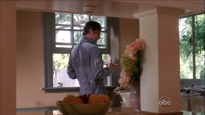 Desperate-housewives-5x01-screencaps-0193.png