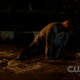 The-secret-circle-1x05-screencaps-0479.png