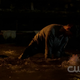 The-secret-circle-1x05-screencaps-0480.png