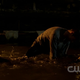 The-secret-circle-1x05-screencaps-0481.png