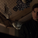 The-secret-circle-1x13-screencaps-0339.png